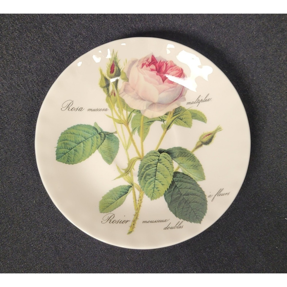 Vintage 1996 Roy Kirkham Redoute Roses Fine Bone China Teacup Saucer Only 6"